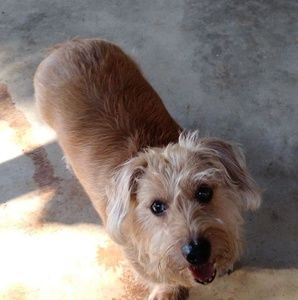 Meet your Posher, Sharon